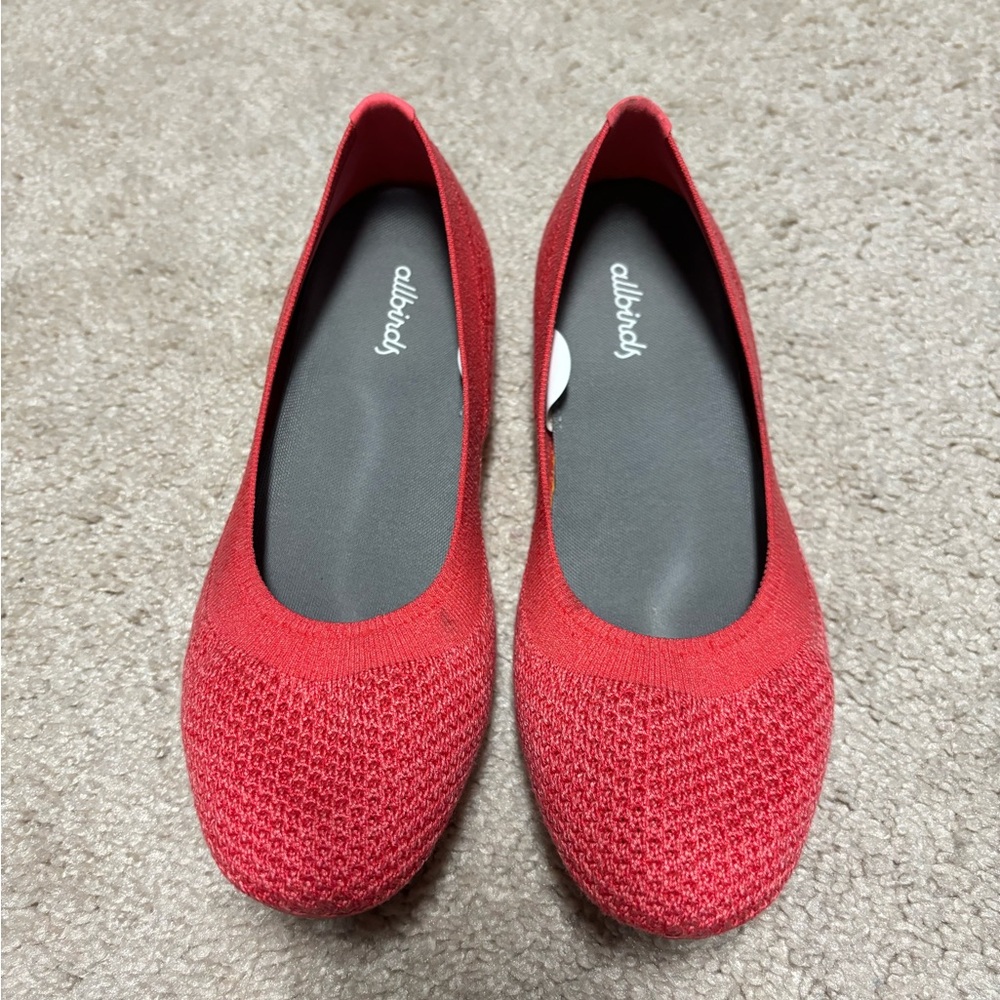 allbirds Tree Breezer flats - used, good condition
